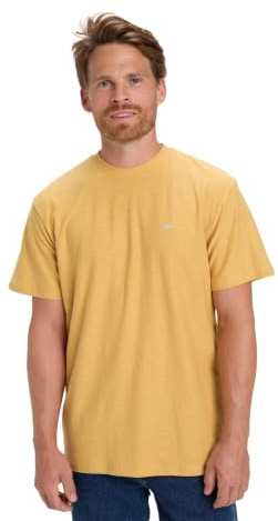 Quiksilver Men's Slub Roundneck T-Shirt (Pack of 1)