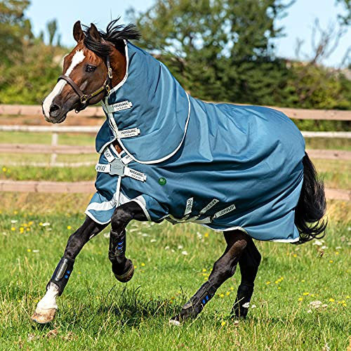 Horseware AmEco Bravo 12 Plus Turnout 0g - Teal/Grey