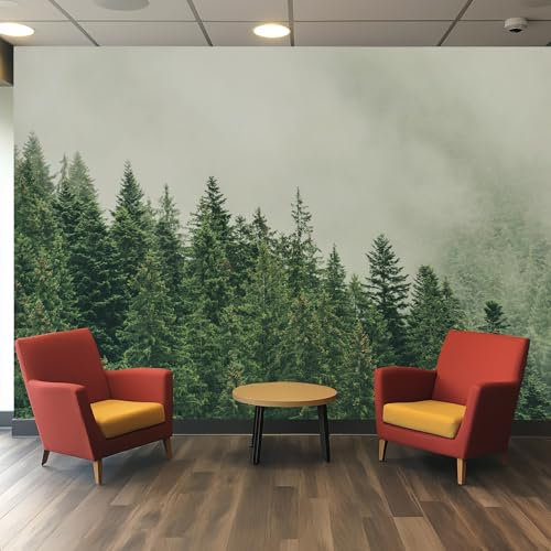 Générique Papier Peint Panoramique Forêt Brume Nature 200x140 cm, Papier Peint Murs Décorative, Chambre Salon, Arbre Paysage Brouillard Photo Murale Restaurant
