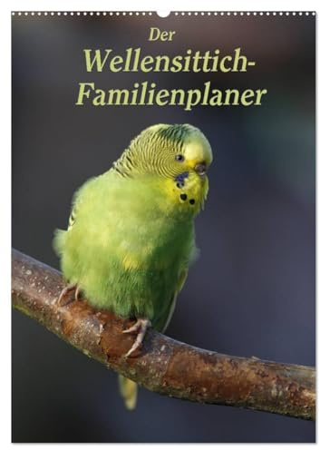 Der Wellensittich-Familienplaner (Wandkalender 2026 DIN A2 hoch), CALVENDO Monatskalender: Putzige Piepmätze (CALVENDO Tiere)