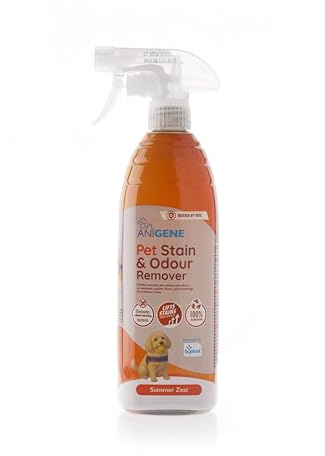 ANIGENE Pet Stain & Odour Remover Spray (750ml - Summer Zest) - Professional Stain & Odour Eliminator For Cats, Dogs & Other Pets - Lifts Stains & Freshens Odours - For Carpets, Upholstery, Rugs & Car