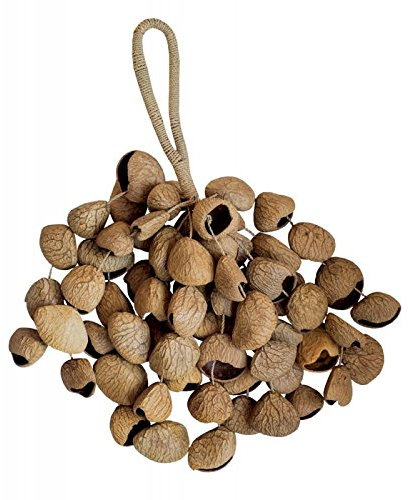 Terré Shaker XXL Pangi – Pangium Seeds Shaker – MUSICAL_STRUMENTS