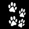 Finest Folia 12er Set Hundepfoten je 6x6 cm Pfoten Pfötchen Hund Katze Aufkleber Sticker für Auto Motorrad Wand Laptop Möbel (K015 WeißGlanz)