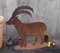 Steinbock 35 cm hoch aus Metall in Edelrost Rost Deko Tiere Gebirge Berg Sternzeichen Zoo Alpen Herbst