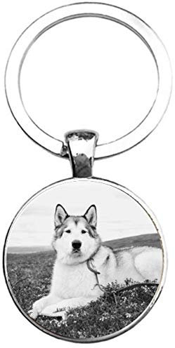 Schlüsselanhänger Glas - Husky, silberfarben