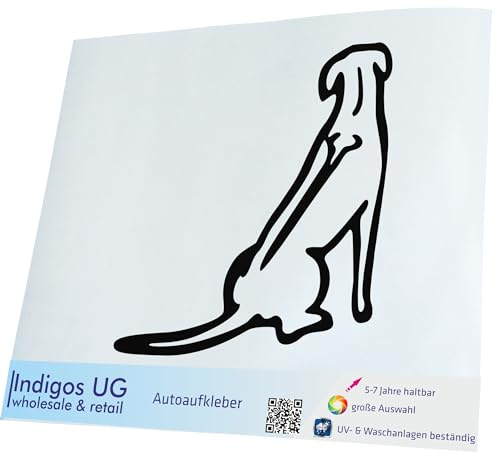 INDIGOS UG Auto Aufkleber Rhodesian Ridgeback - schwarz - 150x169 - Selbstklebender Sticker für Auto, Fenster, Bus oder LKW - UV-beständig & wetterfest