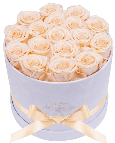 Prifroti 17 Champagnerfarbene Rosen in einer Luxus-Wildlederbox, Langlebige Blumen, Valentintagsgeschenk für Frauen