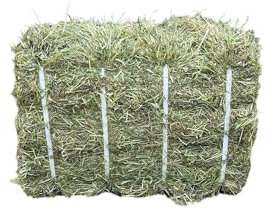 Timothy Hay & Fresh Green Ryegrass Mix 13.5KG – Rabbit Hay Bale – Guinea Pig Hay, Feeding Hay for Rabbits, Horse Hay – Organic, High Fibre, Compressed, Dust Extracted Pet Hay