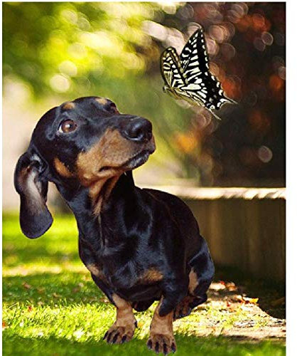 Puzzle 1000 Piece for Adult Sausage Dog and Butterfly Suitable for People Over 12 Years Old