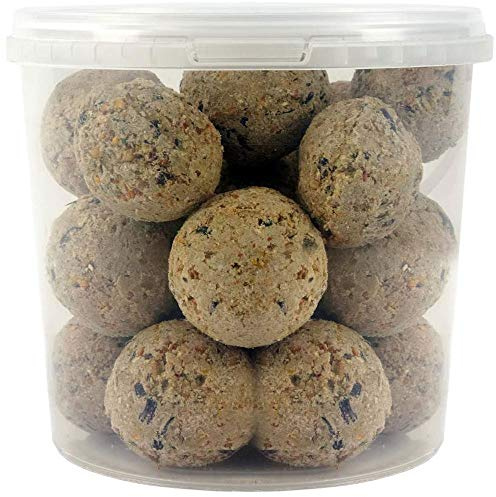 SQUAWK Suet Fat Balls | Premium Garden Wild Bird Food | Enhanced Year-Round Formula | Naturally Blended, High in Energy & Protein-Rich Feed | Full of Fresh Nutritious Fat Fibre & Moisture (2.5L Tub)