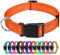 TagME Nylon Hundehalsband, Verstellbares Reflektierendes Hundehalsband mit Sicherheitsschnalle für Mittlere Hund, Orange, 2.5cm Breite
