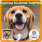 Vanilla and Cinnamon Diamant Malerei Set für Erwachsene, 5D DIY Diamond Painting Eigenes Foto, personalisierte Diamant Art Kits, Malen mit Diamanten (20x25cm, Rund)