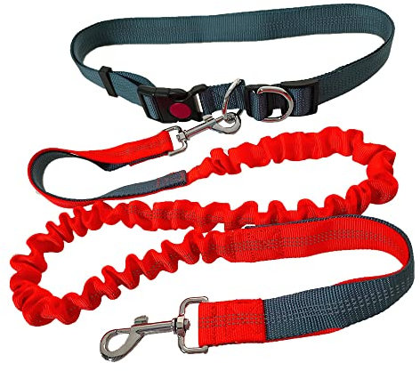 QitinDasen Freihändige Hundeleine, Grau Verstellbarer Hüftgurt und Orange Dehnbare Bungee-Leine, Jogging Hundeleine mit Reflektierenden Nähten