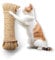 SNURO Sisalseil (8mm, 20M), für Kratzbaum, Tiere & Deko- 100% natürliches Sisal Seil aus Agavenpflanze - Robuste Sisalschnur für Katzen, Papagei & Sittiche - Bruchkraft 485 kg