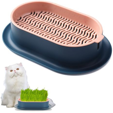Bukezudang Katzengras Pflanzkasten, Katzengras Schale, Pflanzschalen Für Katzengras, Pflanzkasten Hydro Katzengras, Pflanzschalen Für Katzengras Keimschale, Seed Sprouter (Indigo-Rosa