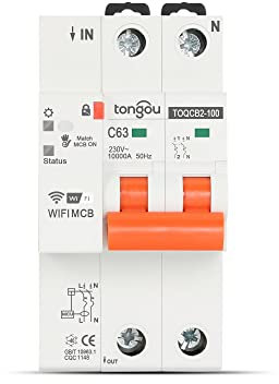 Disjoncteur,Disjoncteur Différentiel 2P WIFI compteur disjoncteur minuterie de vie intelligente télécommande automatique sans fil interrupteur refermeture 63A