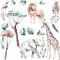 HUBDECO - Wandtattoo Kinderzimmer - Wanddeko - Selbstklebende Folie - Fototapete - Wandsticker - Selbstklebende Tapete - für Mädchen und Jungen - Safari Dschungel Elefant Giraffe - 100x200cm