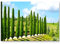 Paul Sinus Art Leinwandbilder | Bilder Leinwand 120x80cm Weinberg und Zypressen in der Toskana