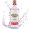Wrecking Coast Strawberry Gin – Premium Cornish Craft Gin with Fresh Strawberry Infusion, Distilled in North Cornwall, Ideal Gin Gift, 70cl, 37.5% ABV