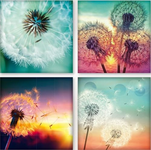 Weltbild Diamond Painting Pusteblumen je 25 x 25 cm, 4er-Set