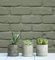 GAULAN - 683532 Papier Peint Imitation Mur de Briques Vintage Vert pour Mur Salon Jeune Salle à Mange Chambre garçon Fille d'étude - Rouleaux de 10 m x 0,53 m