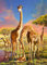 Puzzles für Erwachsene 1000 Teile,Giraffe Puzzle, Holzpuzzles, Familiendekoration, (G3, 1000 Teile)