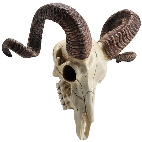 Veronese Design 10 5/8 Inch Corsican Ram Skull AnimalHorns Resin Wall Sculpture