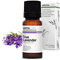 Aroma Labs - Organic Lavender Vera - Chemotyped and AB Certified Essential Oil - 10 mL