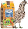 ChickenGold - Hühner Winterkorn 10kg - Legekorn speziell für die kalte Jahreszeit
