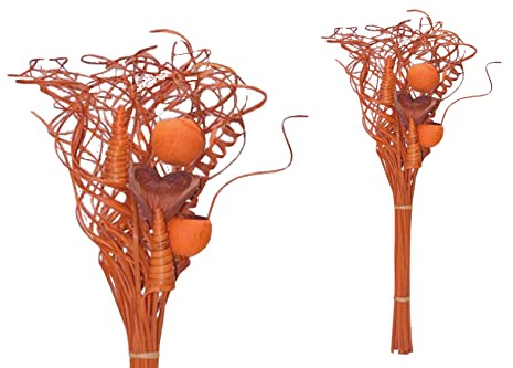 finehomegarden Exoten Sortiment 7-teilig Trockenblumen Strauß Boho Style Smart Curly orange 66cm Grabaufleger Trauerfloristik Allerheiligen Herbstdeko Totensonntag