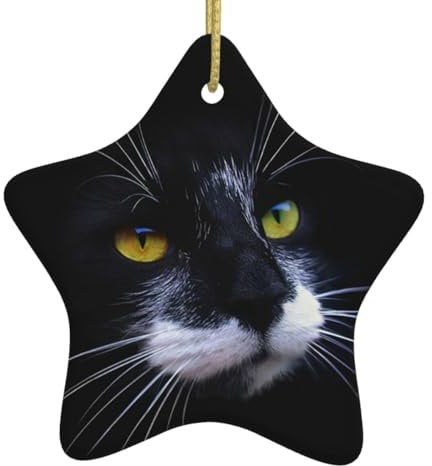 Weihnachtsschmuck für Baumdekoration, schwarze süße Katzen, weiße Keramik, zum Aufhängen, Weihnachtsbaumschmuck, Christbaumschmuck, Heimdekoration (sternförmig)