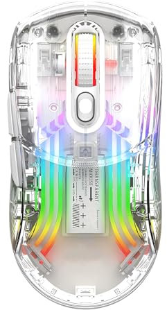 Lancoon Souris de jeu sans fil - Souris mécanique transparente avec capteur optique 2,4 G - 5 DPI réglables - Design ergonomique - Bouton muet pour ordinateur, travail et jeu (blanc)