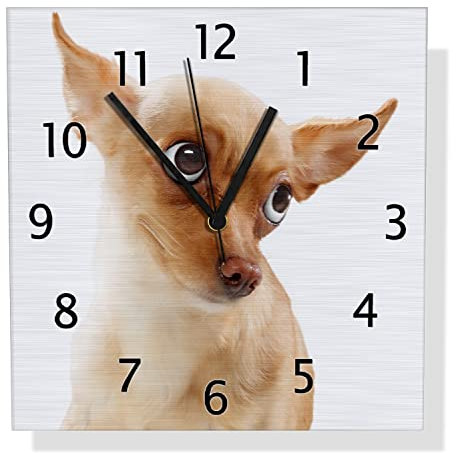 Wallario Design Wanduhr Lustiger Hund mit fliegenden Ohren aus Aluverbund, Alu-Uhr Größe 30 x 30 cm, Schwarze Zeiger mit Metalloptik