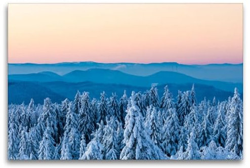 Premium Textil-Leinwand 120 x 80 cm Querformat Premium Textil-Leinwand 120 cm x 80 cm quer Blick vom Schliffkopf im Nationalpark Schwarzwald | Wandbild, HD-Bild auf Keilrahmen, Wanddekoration, Kunstdr