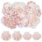 WADORN 65 pièce 2 Styles Coquille Saint Jacques Naturelle, 6~7cm Coquillages Naturels Colorés de Plage Grandes Coquilles Saint Jacques pour Plage Mariage Décor D'Intérieur Bougies DIY