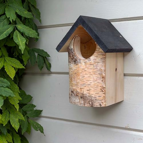 CJ Wildlife Nistkasten – Vogelnistkasten für draußen wetterfest – Spezial entwickelt für Rotkehlchen und Zaunkönige – Birke aus einem Stamm – Ganzjährig Garten