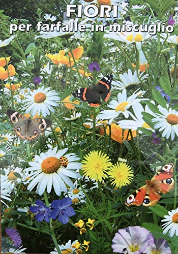 FIORI per farfalle in miscuglio - SEMI