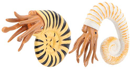 UPKOCH 2stücke Kinderfreundliche Schneckenmodelle Aquatische Kreaturen Für Lernspielzeug Und Desktop-Dekoration Für Und Kreative Gestaltung