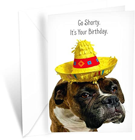 Prime Greetings Lustige Geburtstagskarte mit Hund, Wortspiel mit Boxer, hergestellt in Amerika, umweltfreundlich, dicker Karton mit Premium-Umschlag, 12,7 x 19,7 cm, verpackt in schützender