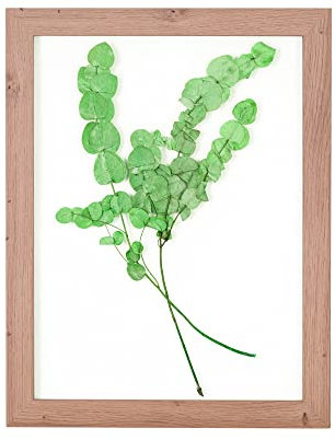 Rahmendesign24 Bilderrahmen Doppelglasrahmen Milano 30x40 Eiche natur Fotorahmen, Wechselrahmen, Doppelglas