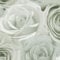Melany Rose Floral Wallpaper World of Wallpaper - Ideal for Lounges, Bedrooms, Dining Rooms and Hallways (Sage Green)