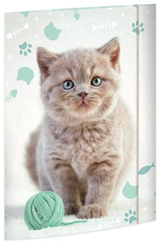 RNKVERLAG Zeichenmappe Kitty 320 x 430 mm, für Formate bis DIN A3 mit Gummizugverschluss, 1 Stück