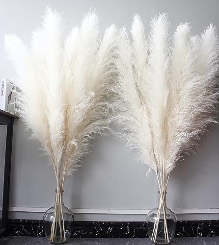 Bannifll 117cm 10 tiges de Pampa Blanche Décoration, Plantes Séchées, Fleurs Séchées Naturelles pour Mariage, Décoration Naturelle à la Maison, Herbe Murale, Décoration Glamour