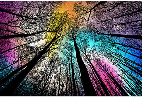 Bgraamiens Forest Under Starry Night - 1000 Piece Gradient Magic Colorful Puzzle for Adults