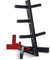 Cap Barbell Olympic Plate Tree Storage Rack for Weights and Bar, Red