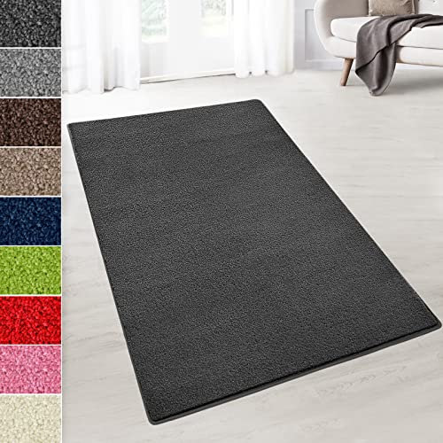 Floordirekt Velours-Teppich auf Maß - Flauschiger Teppichläufer für Küche, Flur, Wohnzimmer - Teppich Meterware Dynasty (Anthrazit, 80 x 100 cm)