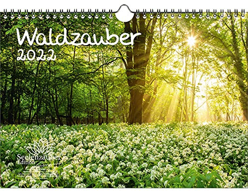 Waldzauber DIN A4 Kalender für 2022 Wald - Seelenzauber