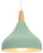 iDEGU Lampe Suspension Moderne Style Rétro Goutte Chapeau Plafonnier E27 Métal pour Chambre Salle à Manger Cuisine, Vert, Ø 20CM