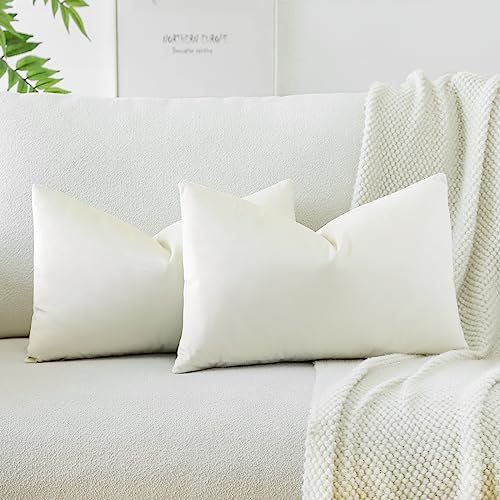 JOTOM Samt Kissenbezug Kissenhülle Sofakissen Dekokissen Kissenbezüge für Sofa Wohnzimmer Schlafzimmer 2er Set 40x60 cm Beige