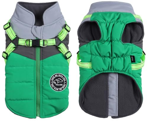 Hundemantel Savlot Hundeweste mit Geschirr Hundemäntel für kaltes Wetter Hundemäntel für kleine Hunde Hunde-Winterjacke Winddicht Reflektierende Welpenjacke(XS, Grün + Grau)